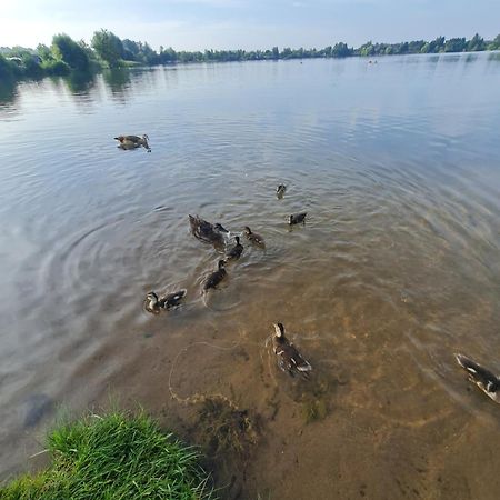 Ferienhaus Am See-2 Hungen Buitenkant foto