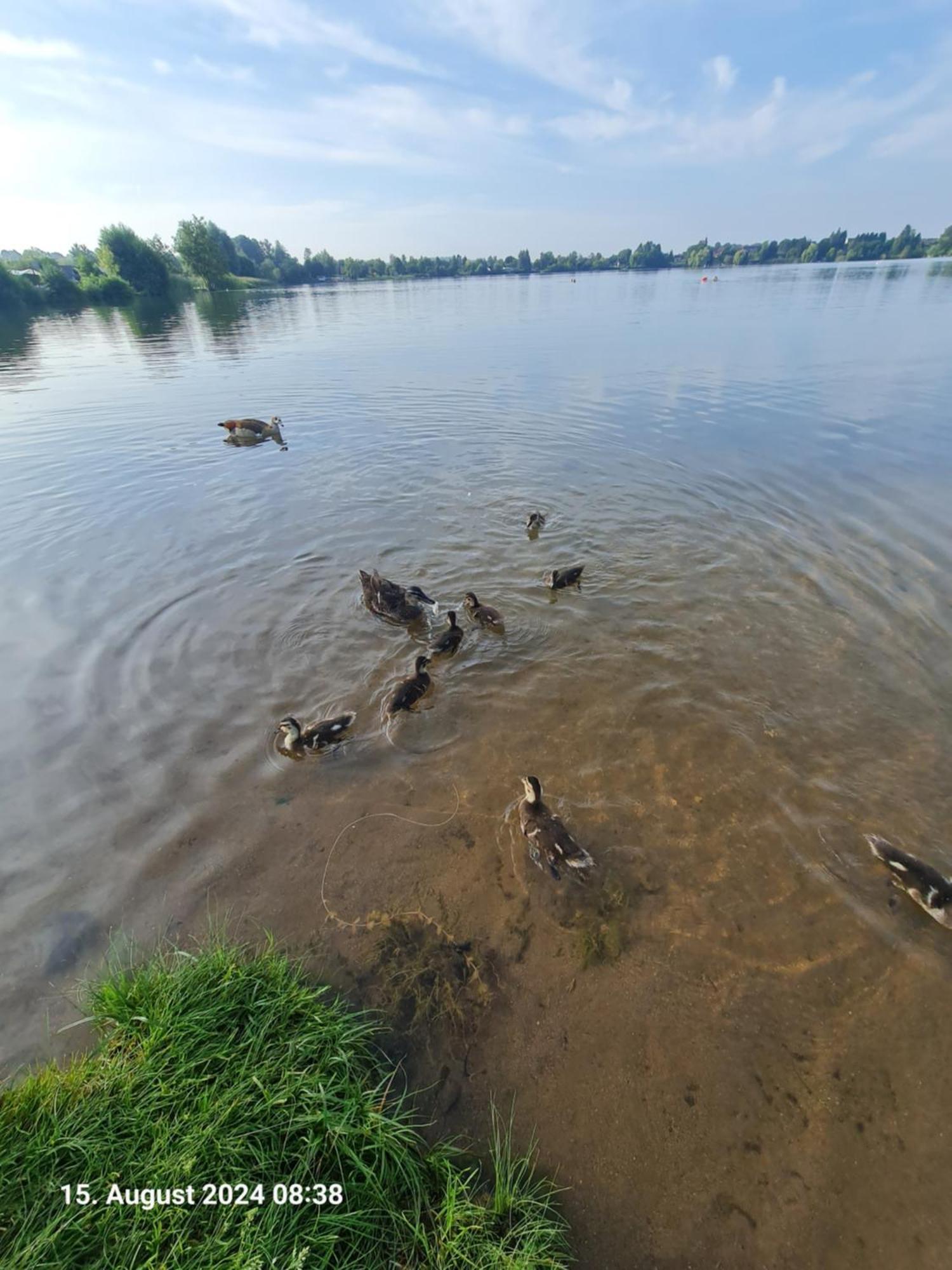 Ferienhaus Am See-2 Hungen Buitenkant foto