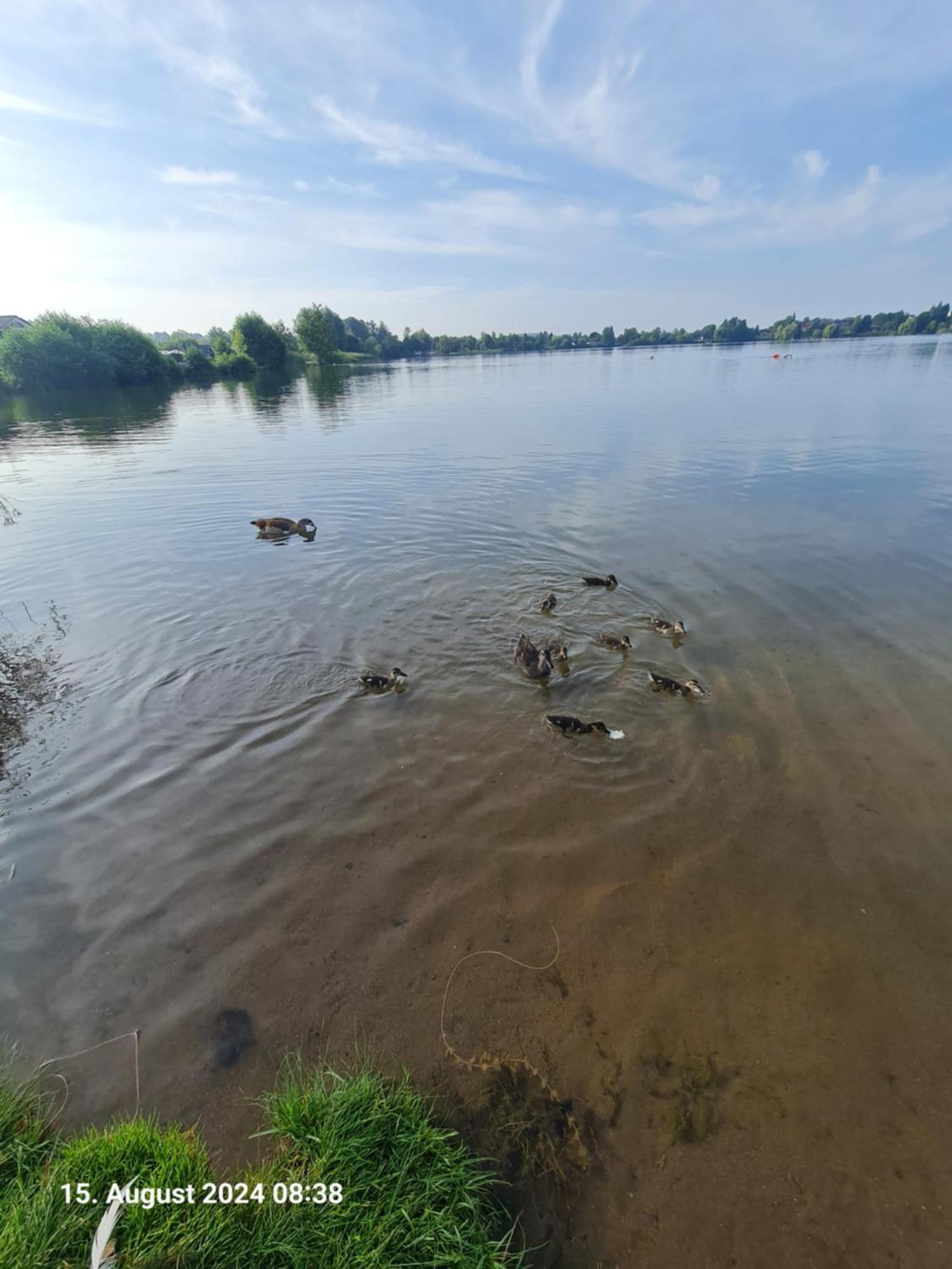 Ferienhaus Am See-2 Hungen Buitenkant foto