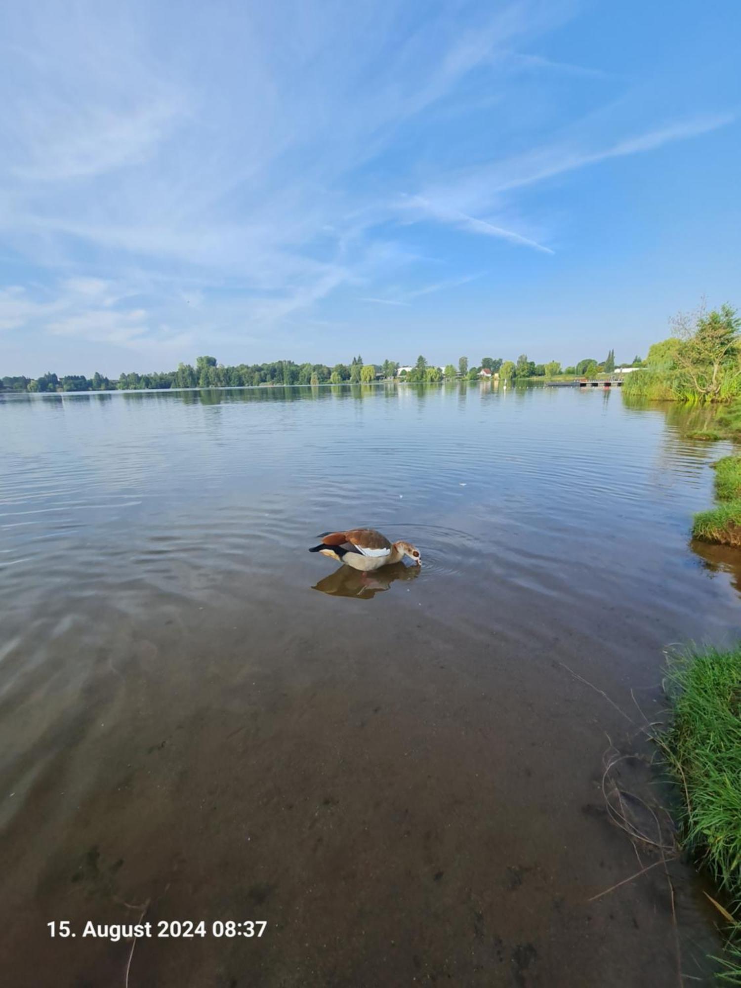 Ferienhaus Am See-2 Hungen Buitenkant foto